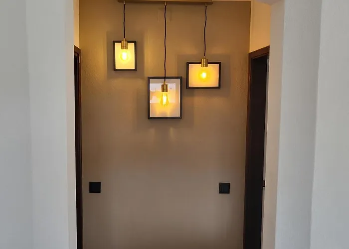 Oura V2 Jacaranda * 알부페이라